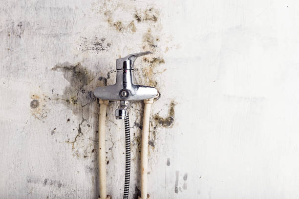 Best Water Damage Restoration  in Sandy Hook, CT