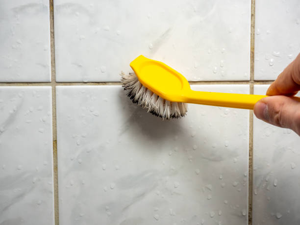 Best Mold Testing  in Sandy Hook, CT