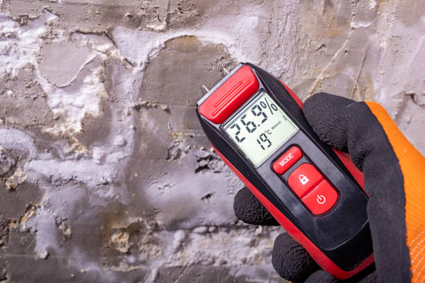 Best Emergency Mold Removal  in Sandy Hook, CT