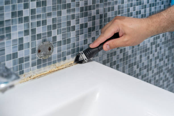 Best Mold Cleaning Services  in Sandy Hook, CT