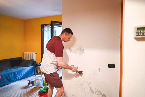Reliable Sandy Hook, CT Mold Removal Solutions
